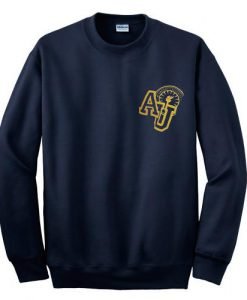 Argent University sweatshirt