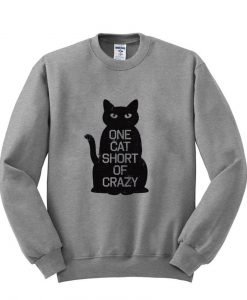 Crazy cat sweatshirt