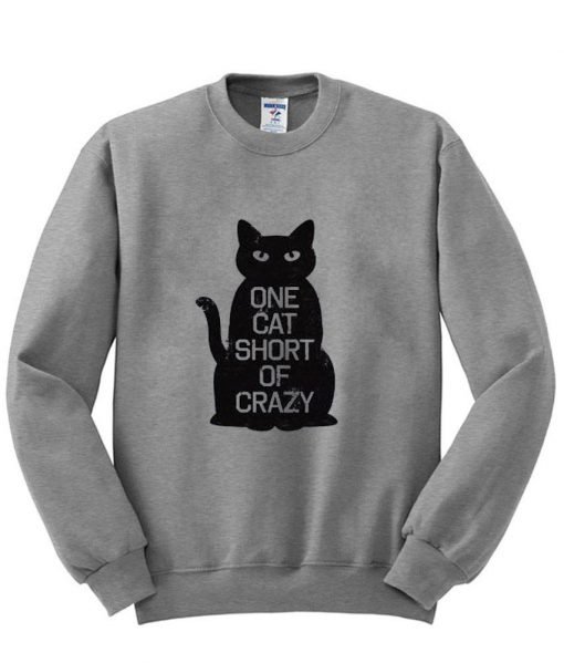 Crazy cat sweatshirt