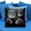 Grumpy cat funny face in moon Pillow Case