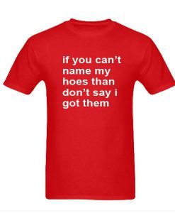 If You Can't Name My Hoes tshirt