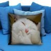 Laughing Cat Funny Pillow case