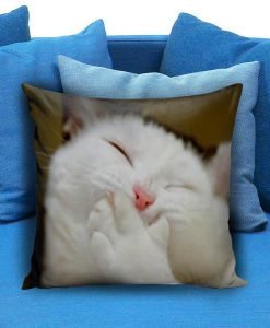 Laughing Cat Funny Pillow case