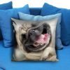 Laughing Smile Pug Dog Boxer Pillow case