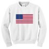 USA Flag Sweatshirt