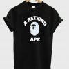 abathing ape tshirt