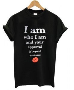 i am who i am and your approval is beyond irrelevant tshirt