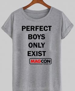 perfect boys only exist T shirt
