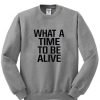 what a time sweatshirt