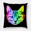 Funny Rainbow Cat Pillow KM