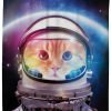 Space Cat Shower Curtain KM