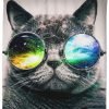Hipster Cat Shower Curtain KM